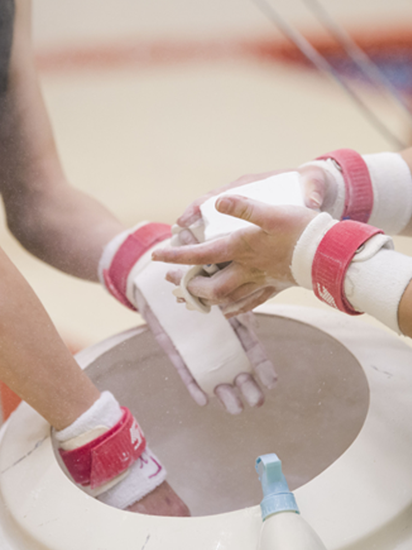 Reisport paščki za dvovišinsko bradljo (ježek) - slika 2